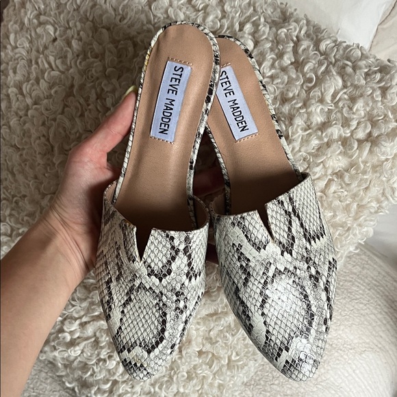 Steve Madden Shoes - NWOT Steve Madden Mule